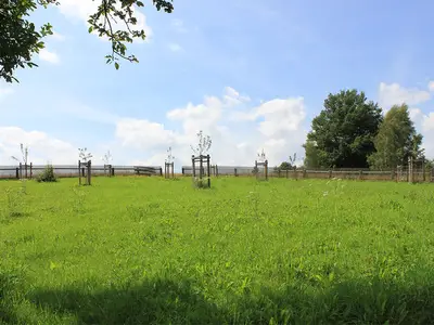 Ferienhaus für 6 Personen (50 m²) in Schleiz 10/10