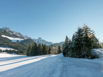 AreaWinter1KM