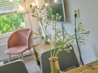 Ambiente / Nahaufnahme