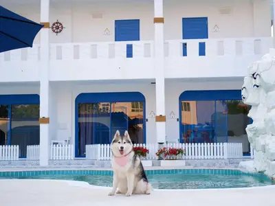 PoolOfHouse