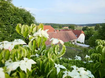 Ausblick