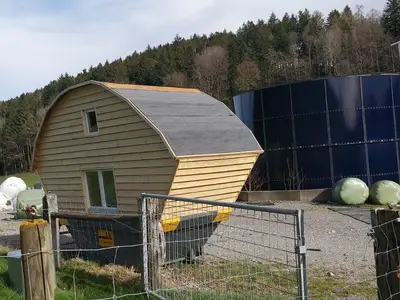 Bild 8
