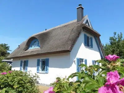 Ferienhaus für 6 Personen (100 m²) in Ummanz 1/10