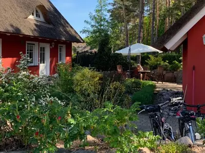 Ferienhaus für 6 Personen (130 m²) in Loddin (Seebad) 3/10