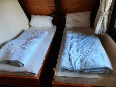 Ferienhaus für 6 Personen (68 m²) in Waldkatzenbach 8/10