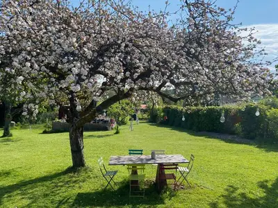 Ferienhaus für 2 Personen (20 m²) in Egloffstein 6/10