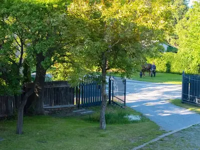 Ferienhaus für 14 Personen (180 m²) in Hüttenrode 5/10