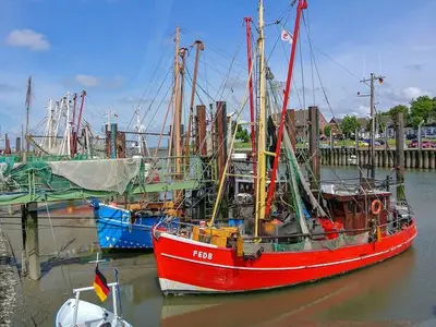 Ferienhaus für 6 Personen (65 m²) in Butjadingen-Sillens 4/5