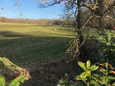 Ferienhaus für 4 Personen (100 m²) in Altjührden 6/10