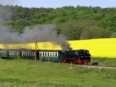 Ferienhaus für 2 Personen (14 m²) in Binz (Ostseebad) 10/10