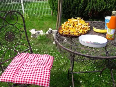 Ferienhaus für 3 Personen (50 m²) in Userin 3/10