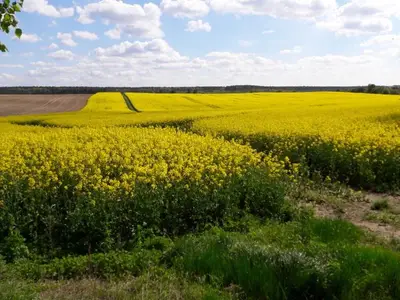 Ferienhaus für 3 Personen (50 m²) in Userin 5/10