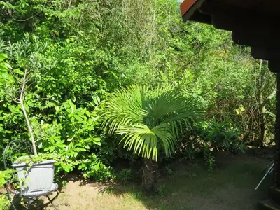 Ferienhaus für 1 Person (12 m²) in Loddin (Seebad) 3/10