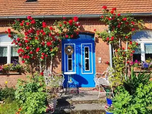 Ferienhaus für 4 Personen (30 m²) in Wredenhagen
