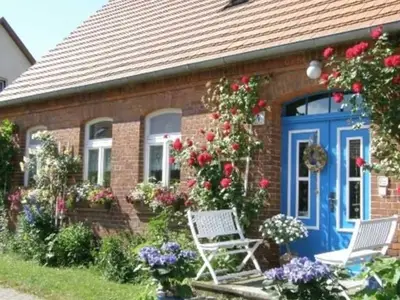 Ferienhaus für 4 Personen (30 m²) in Wredenhagen 2/10