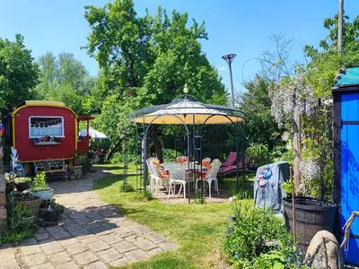Ferienhaus für 4 Personen (30 m²) in Wredenhagen 8/10