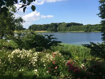 Ferienhaus für 2 Personen (35 m²) in Scharbeutz 3/10