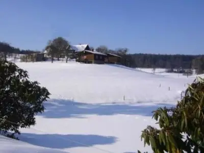 Ferienhaus für 4 Personen (65 m²) in Mossautal 5/10