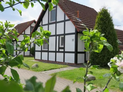Ferienhaus für 6 Personen (60 m²) in Hollern-Twielenfleth 3/10