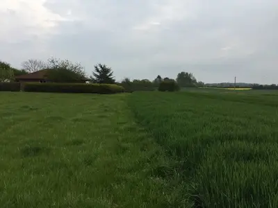 Ferienhaus für 5 Personen (125 m²) in Schwackendorf 4/10