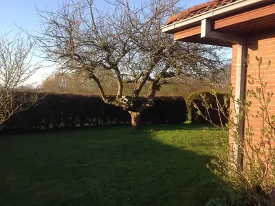 Ferienhaus für 5 Personen (125 m²) in Schwackendorf 5/10