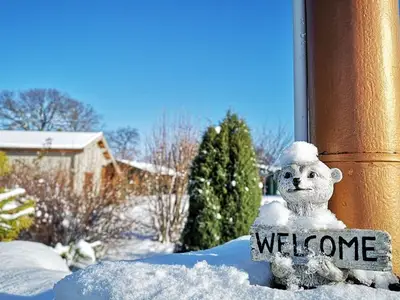 Ferienhaus für 4 Personen (40 m²) in Elsterheide 2/10