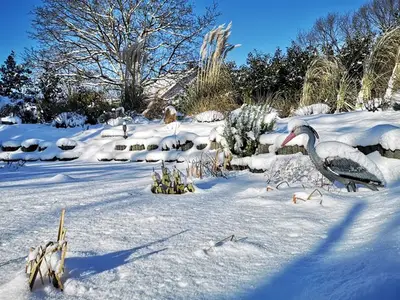 Ferienhaus für 4 Personen (40 m²) in Elsterheide 4/10