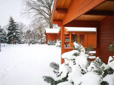 Ferienhaus für 4 Personen (40 m²) in Elsterheide 5/10
