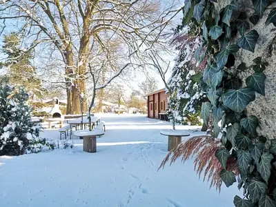 Ferienhaus für 4 Personen (40 m²) in Elsterheide 7/10