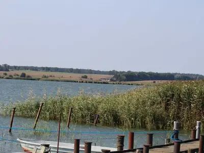 Ferienhaus für 3 Personen (40 m²) in Sauzin 9/10