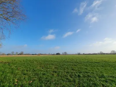 Ferienhaus für 10 Personen (240 m²) in Oltmannsfehn 10/10