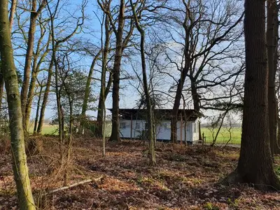 Ferienhaus für 10 Personen (240 m²) in Oltmannsfehn 8/10
