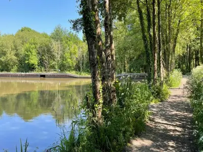 AreaSummer5KM