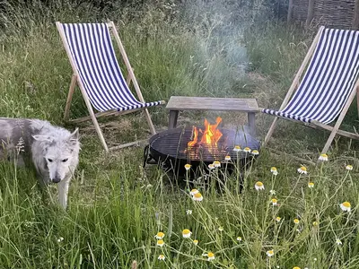 GardenSummer