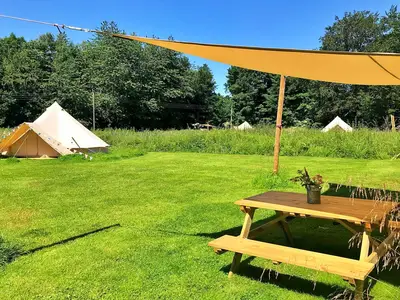 GardenSummer
