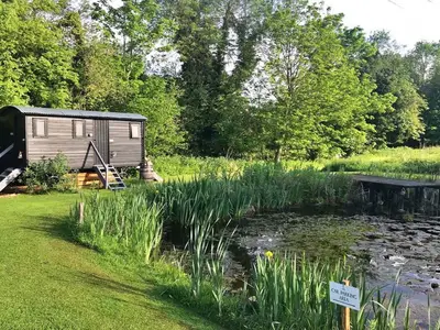 GardenSummer