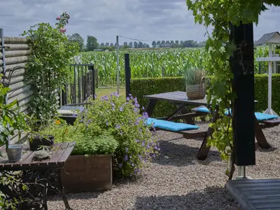 Garten [Sommer]