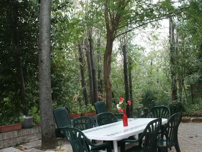 Ferienhaus für 9 Personen (130 m²) in Colli al Metauro 2/10