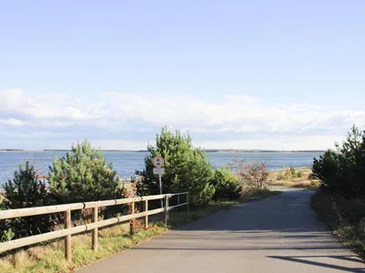 AreaSummer1KM