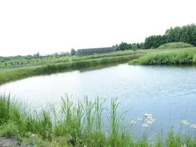 ParkFacilities