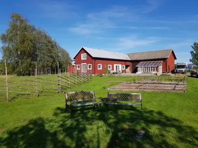 Bild 10