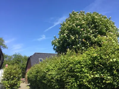 Ferienhaus für 6 Personen (90 m²) in Fehmarn 2/10