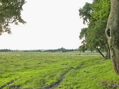 Outdoor