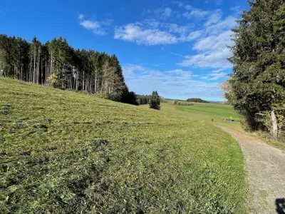 Ferienhaus für 4 Personen (71 m²) in Bonndorf im Schwarzwald 9/10