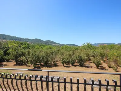 outside