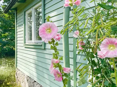 Outdoor