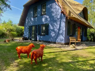 Ferienhaus für 6 Personen (120 m²) in Dierhagen (Ostseebad) 2/10