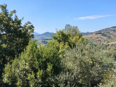 view-from-room