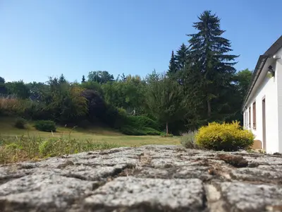 der Garten