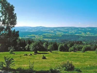 ViewSummer
